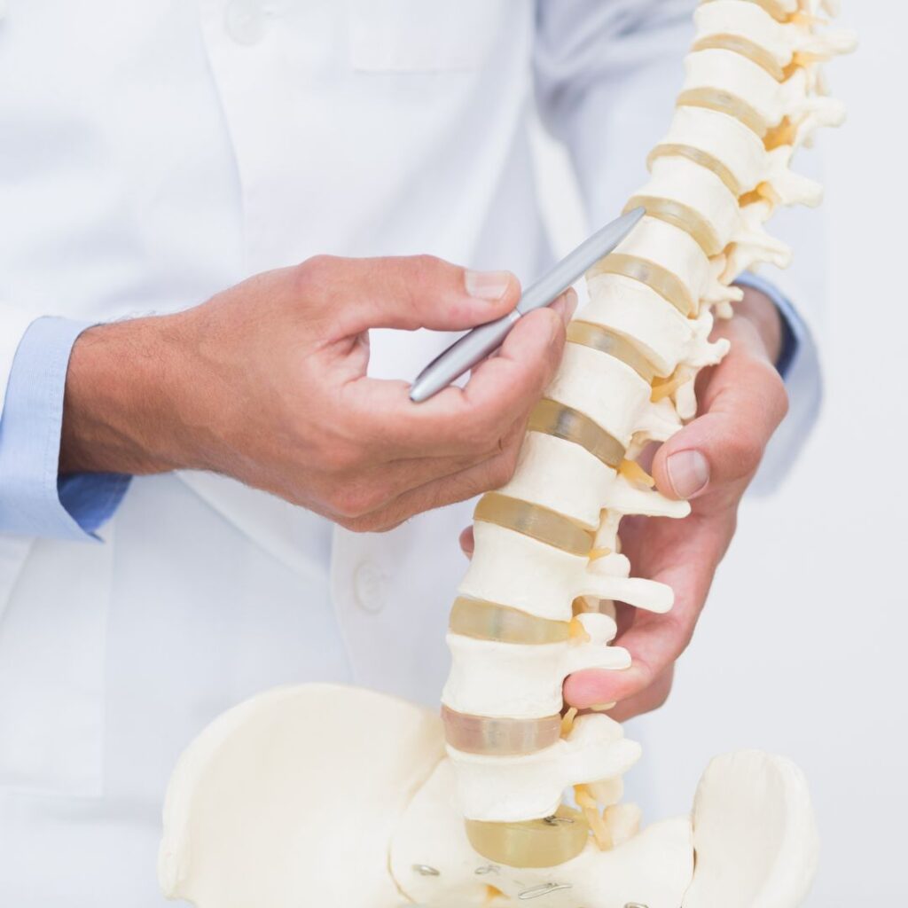 doctor pointing at disc in model of spine